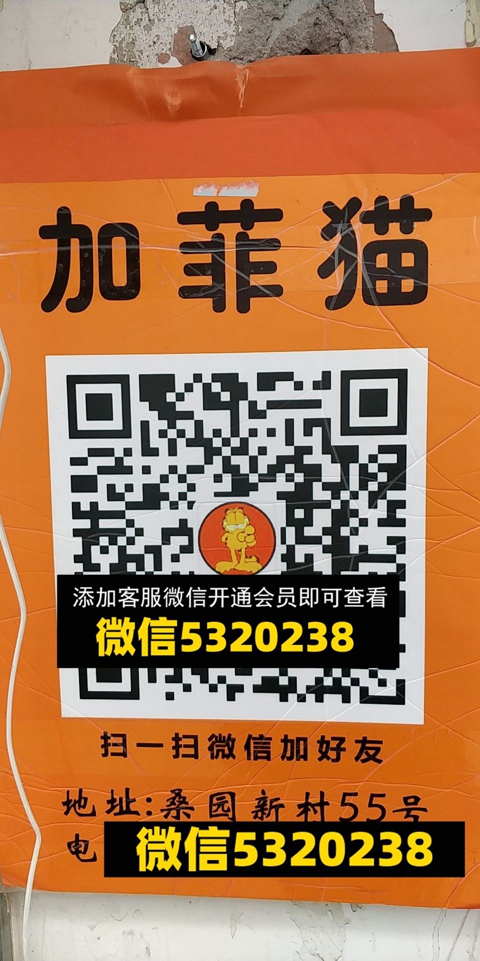 加菲猫 加菲猫