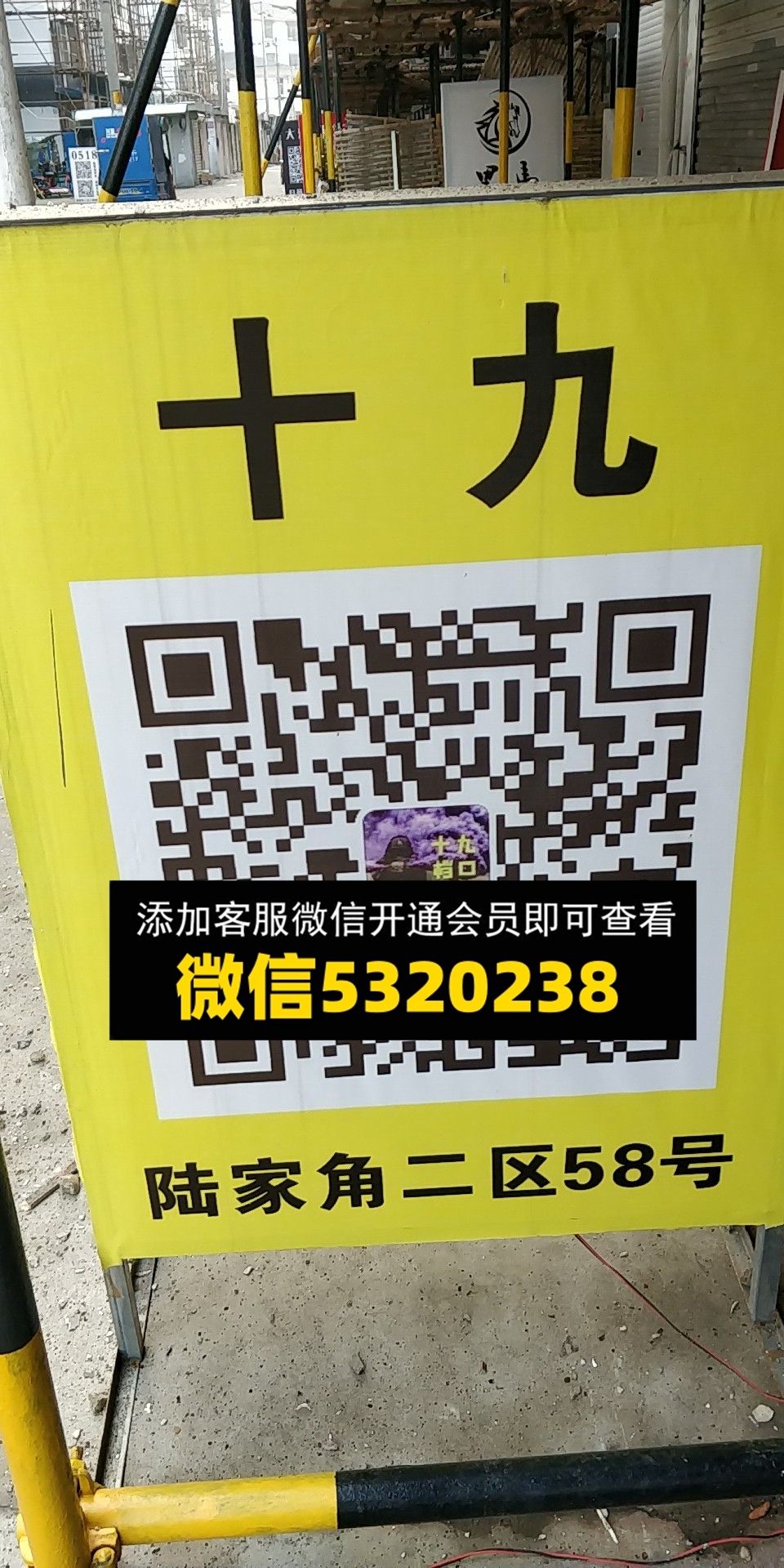 十九 十九