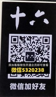 十六 十六