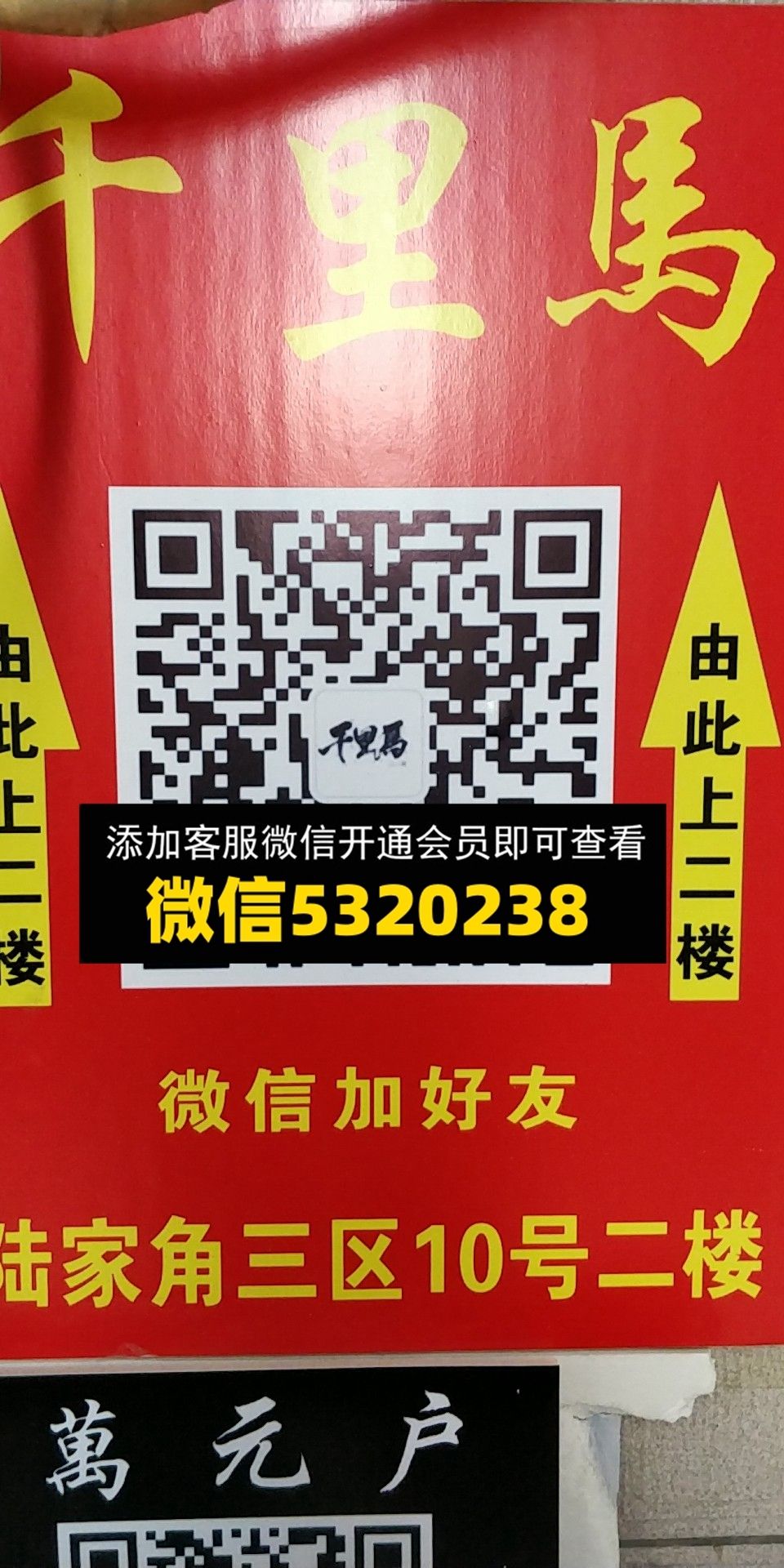 千里马 千里马