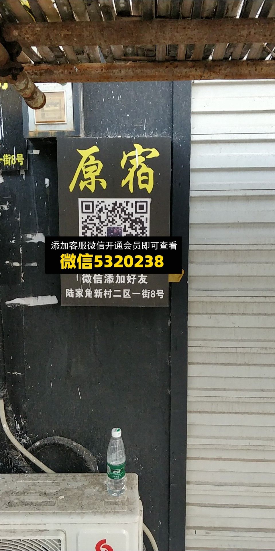 原宿 原宿