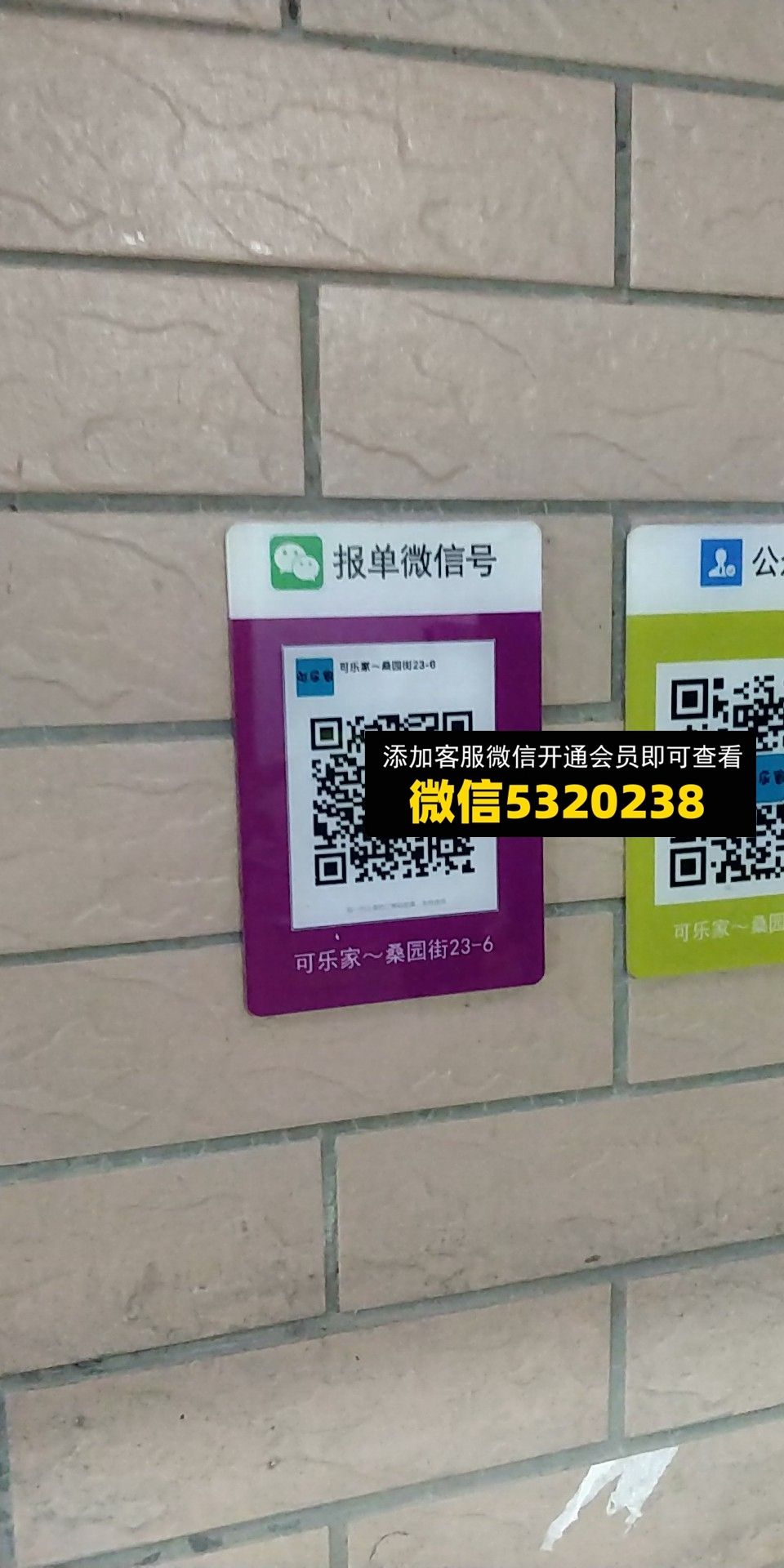 可乐加家 可乐加家