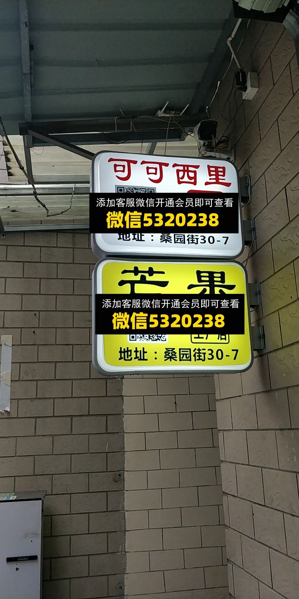 可可西里 芒果 可可西里 芒果