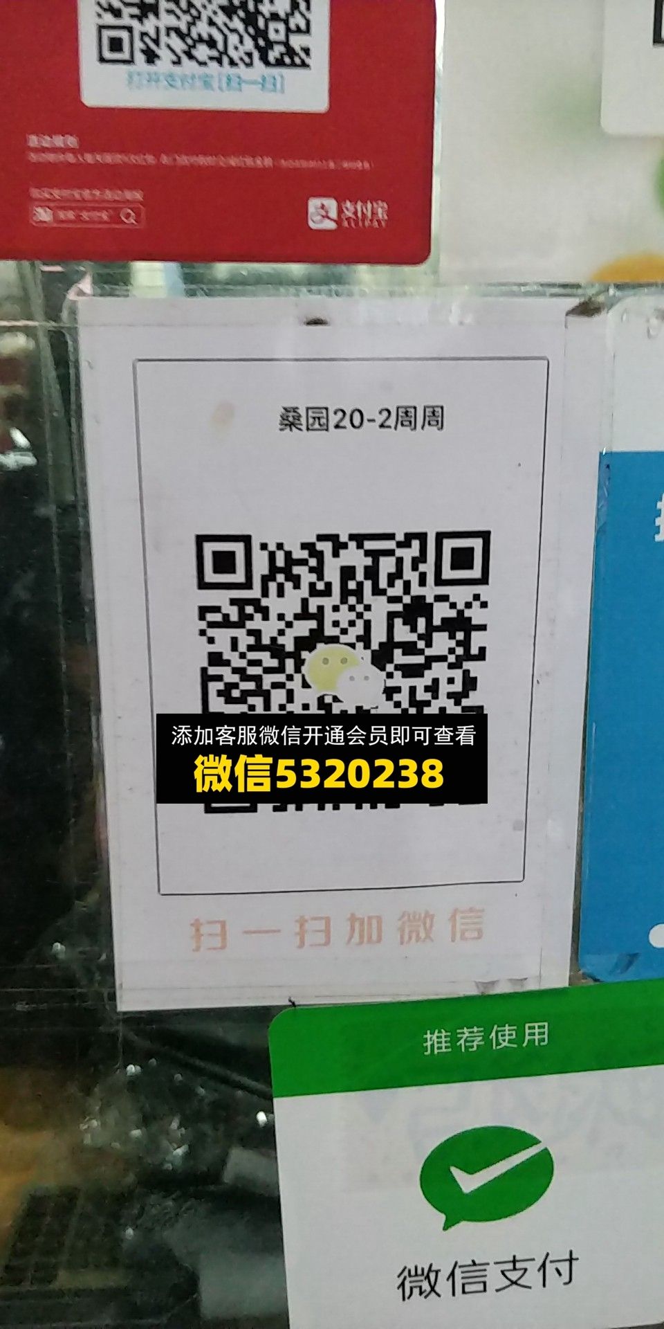 周周 周周