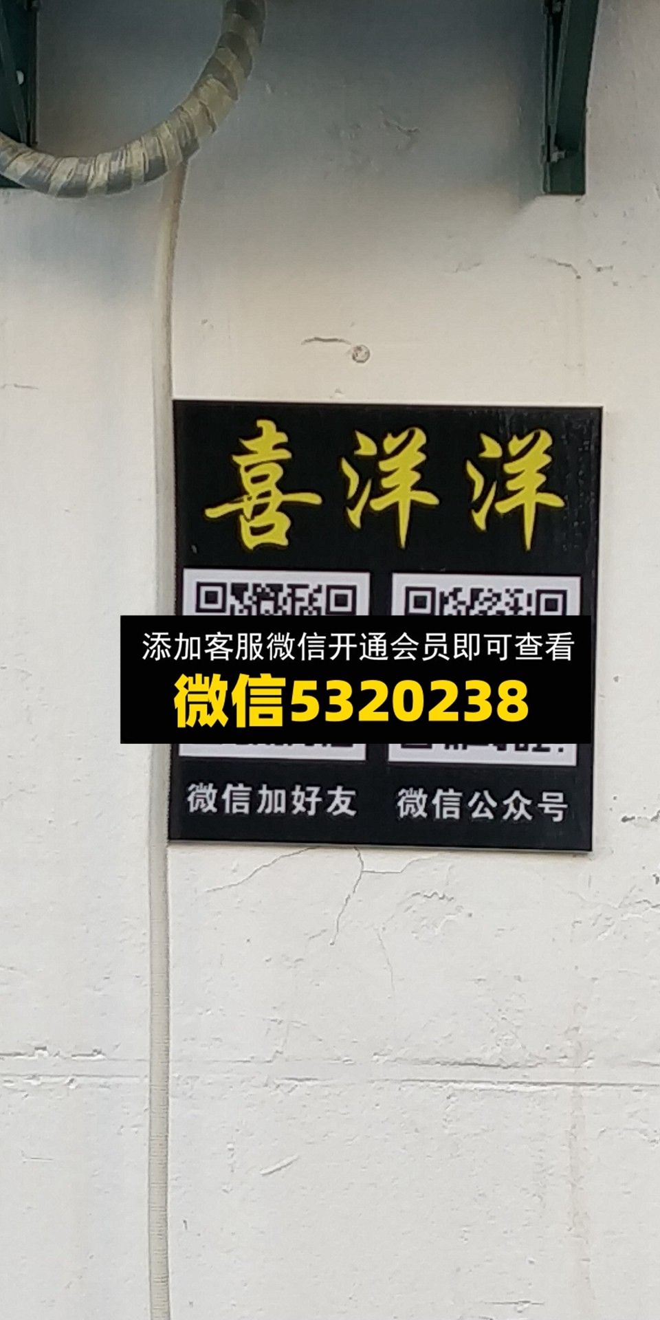 喜洋洋 喜洋洋