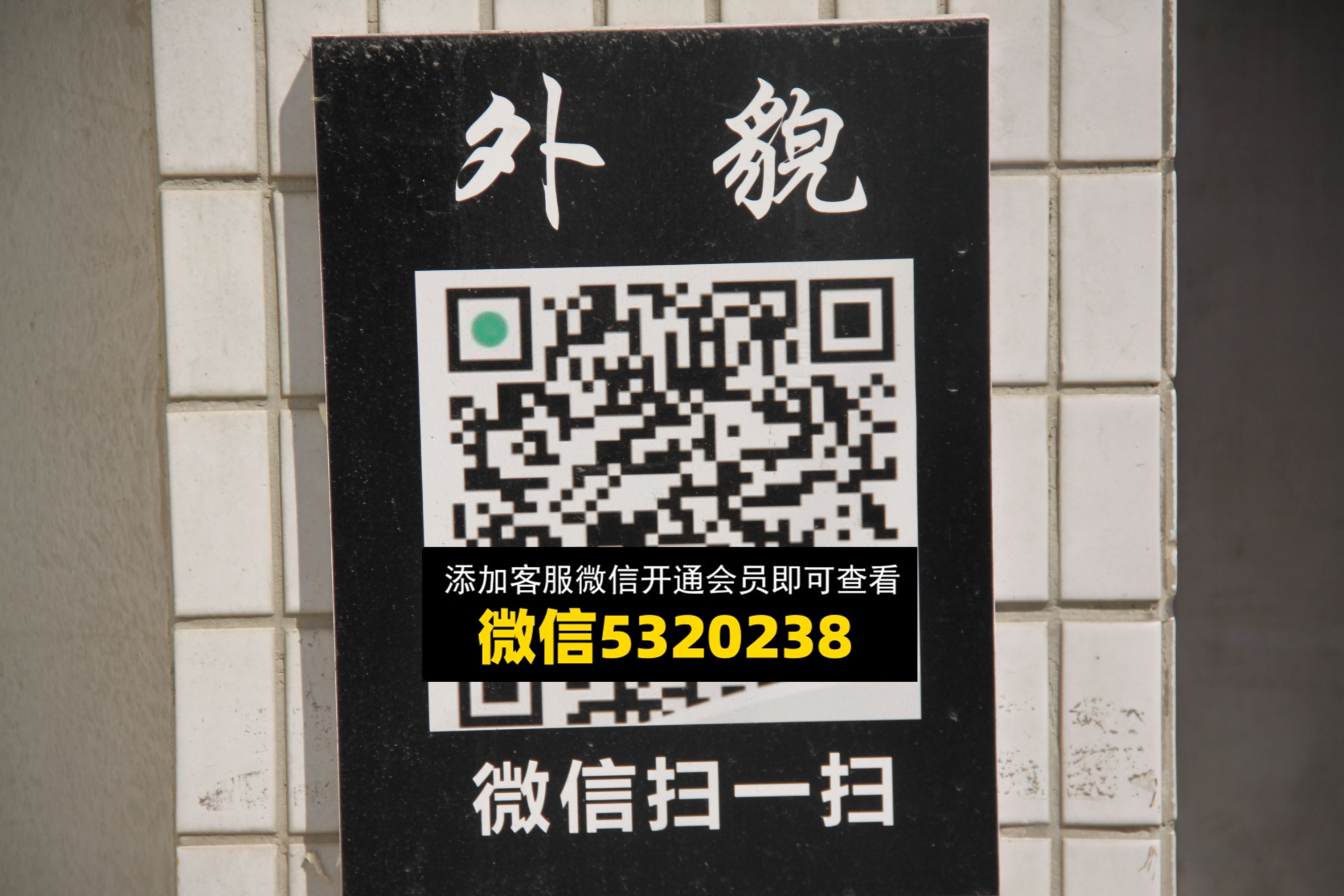 外貌 外貌