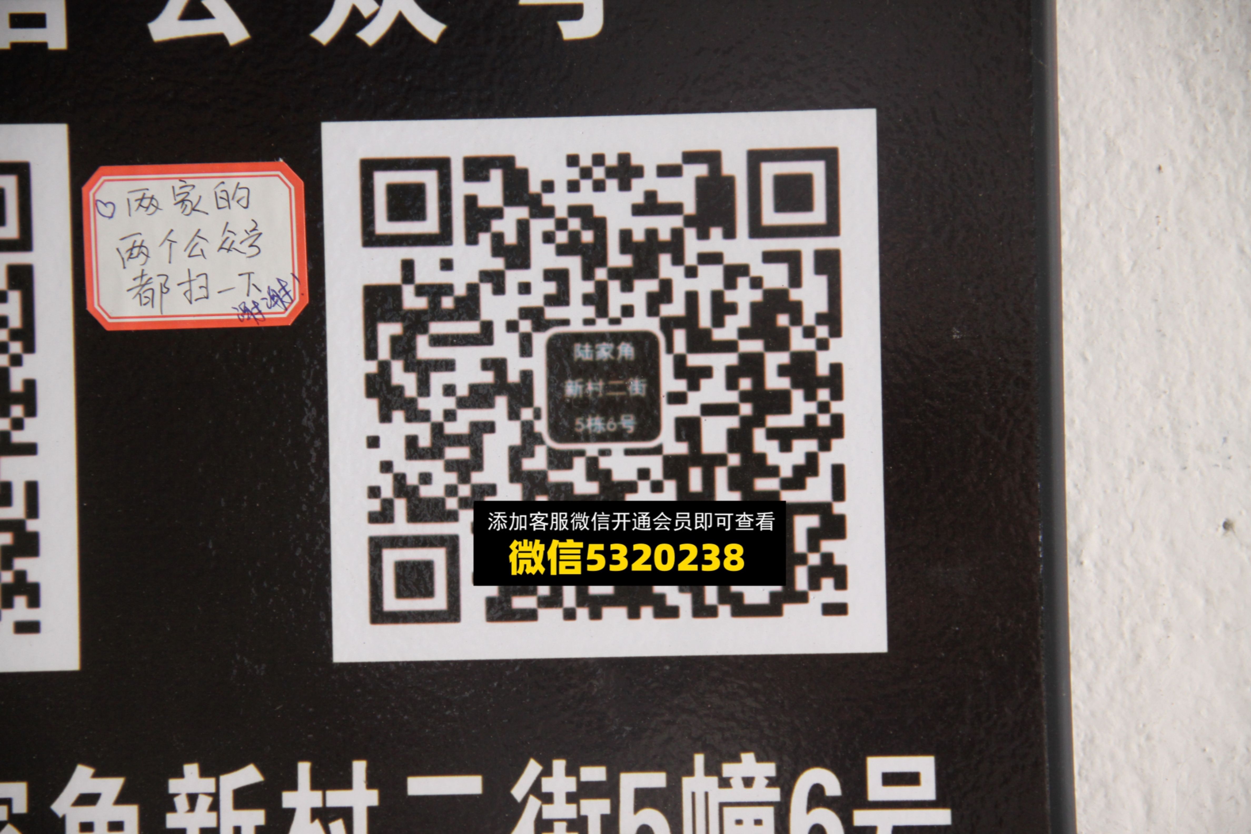 大周外贸 大周外贸