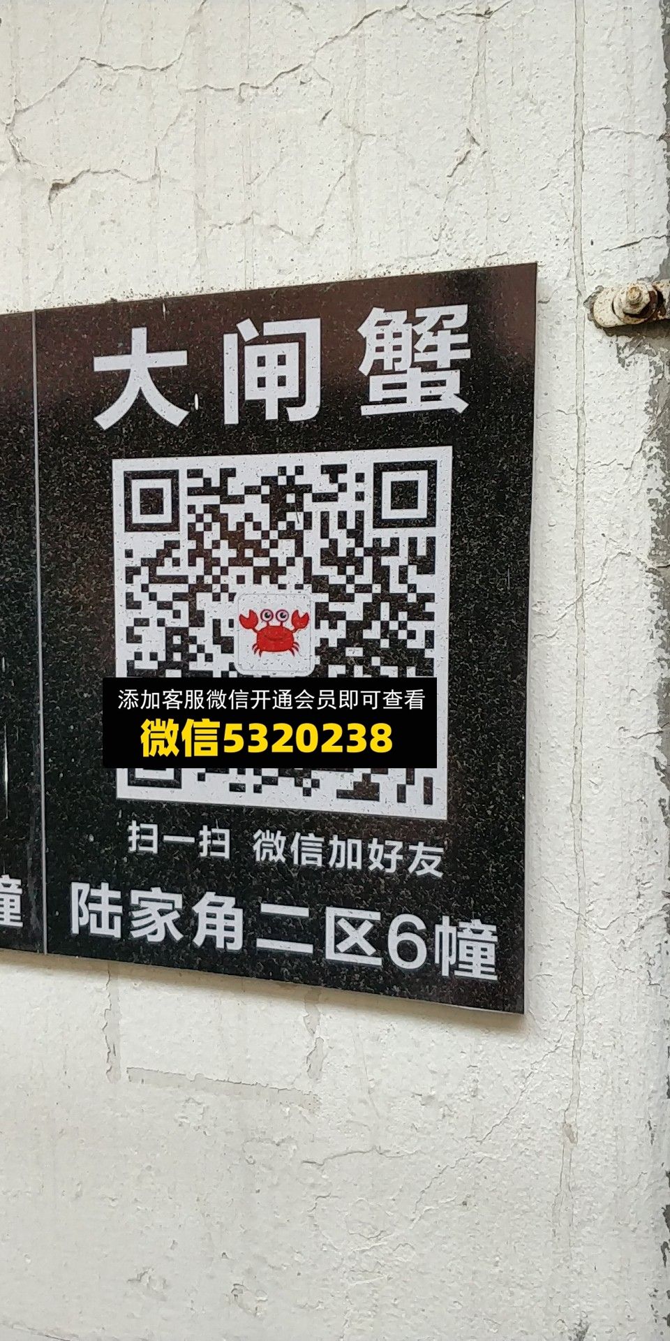 大闸蟹 大闸蟹