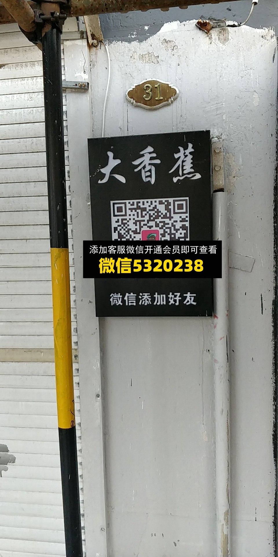 大香蕉 大香蕉