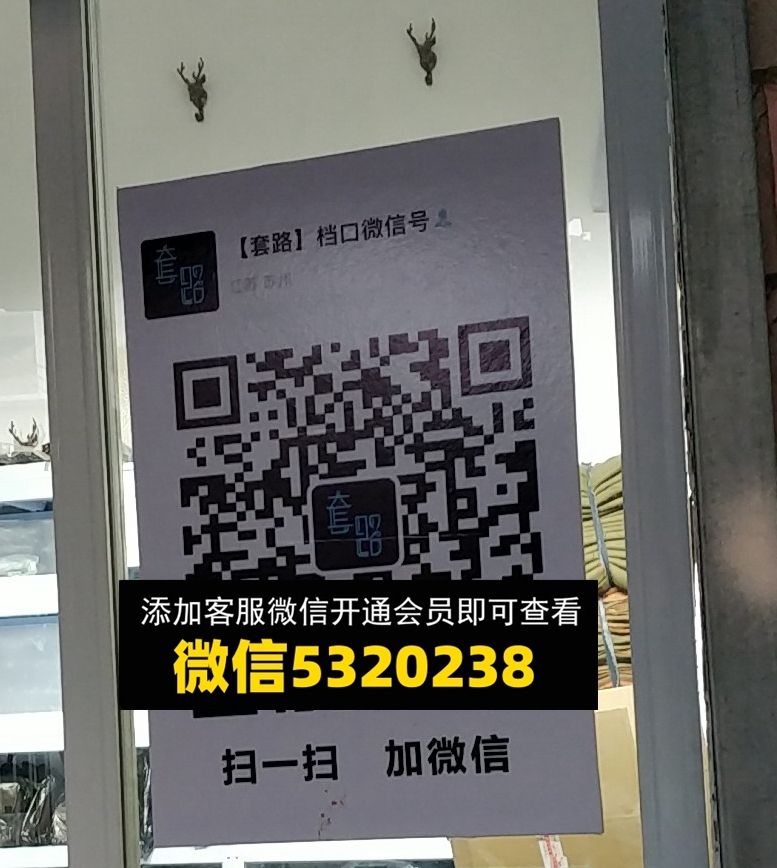 套路 套路