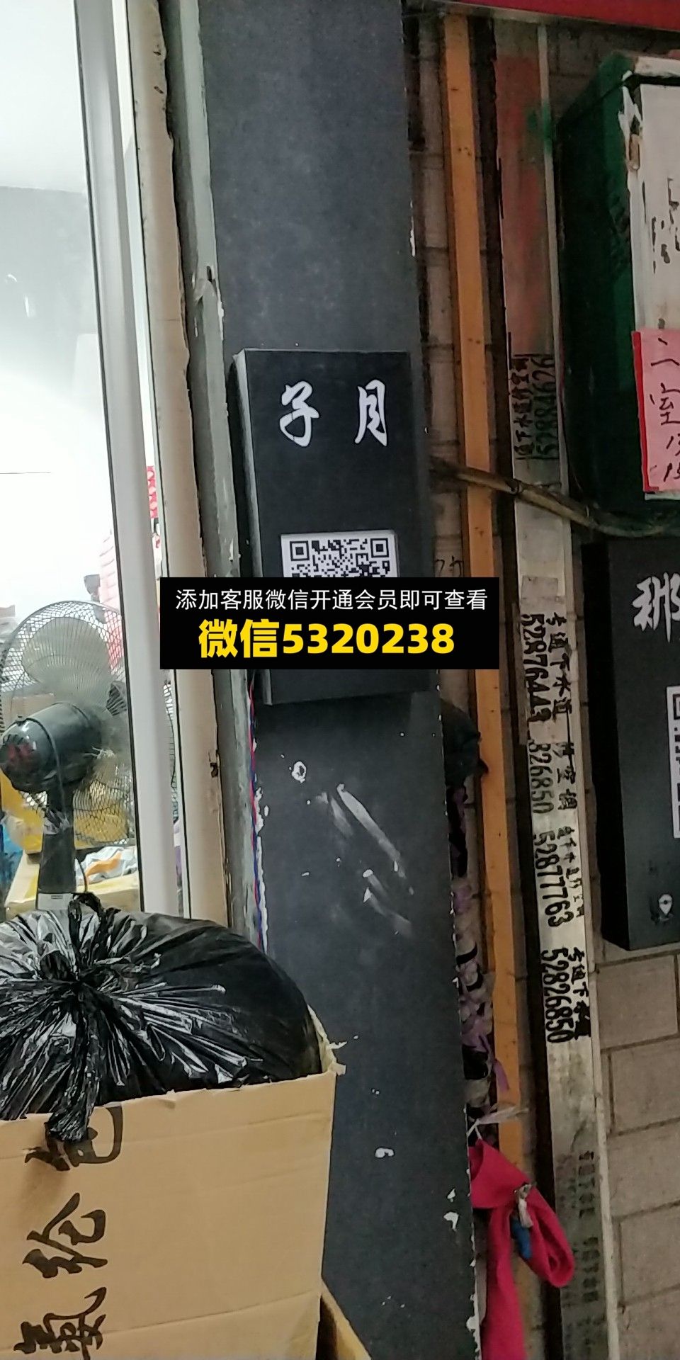 子月 子月