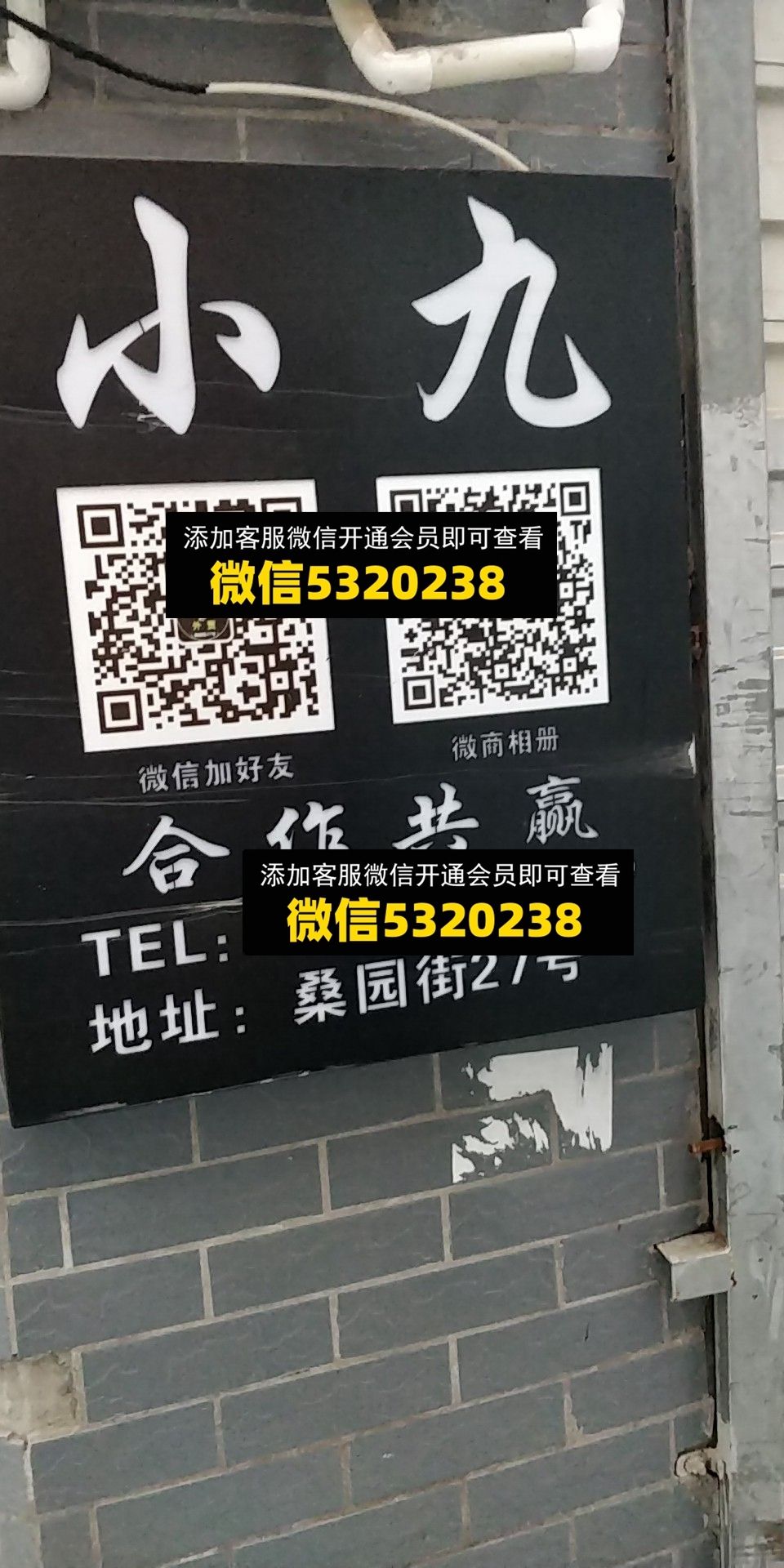 小九 小九