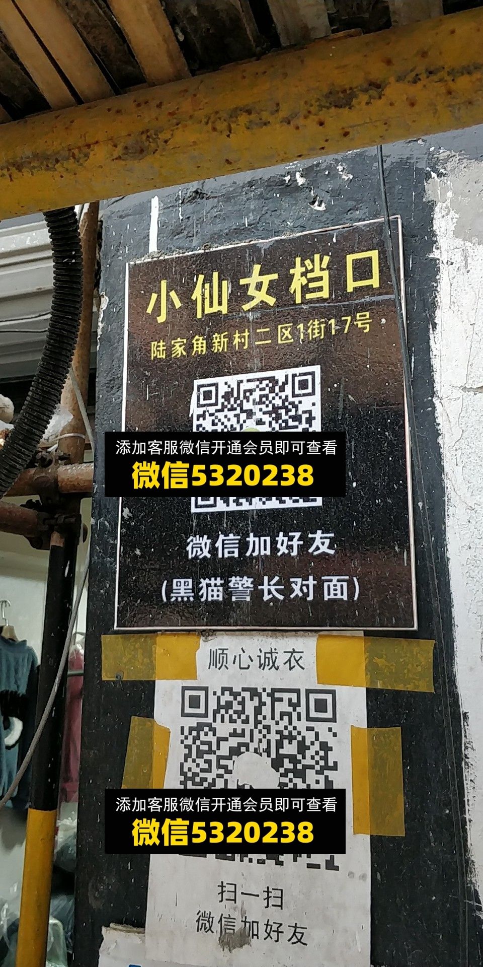 小仙女 小仙女