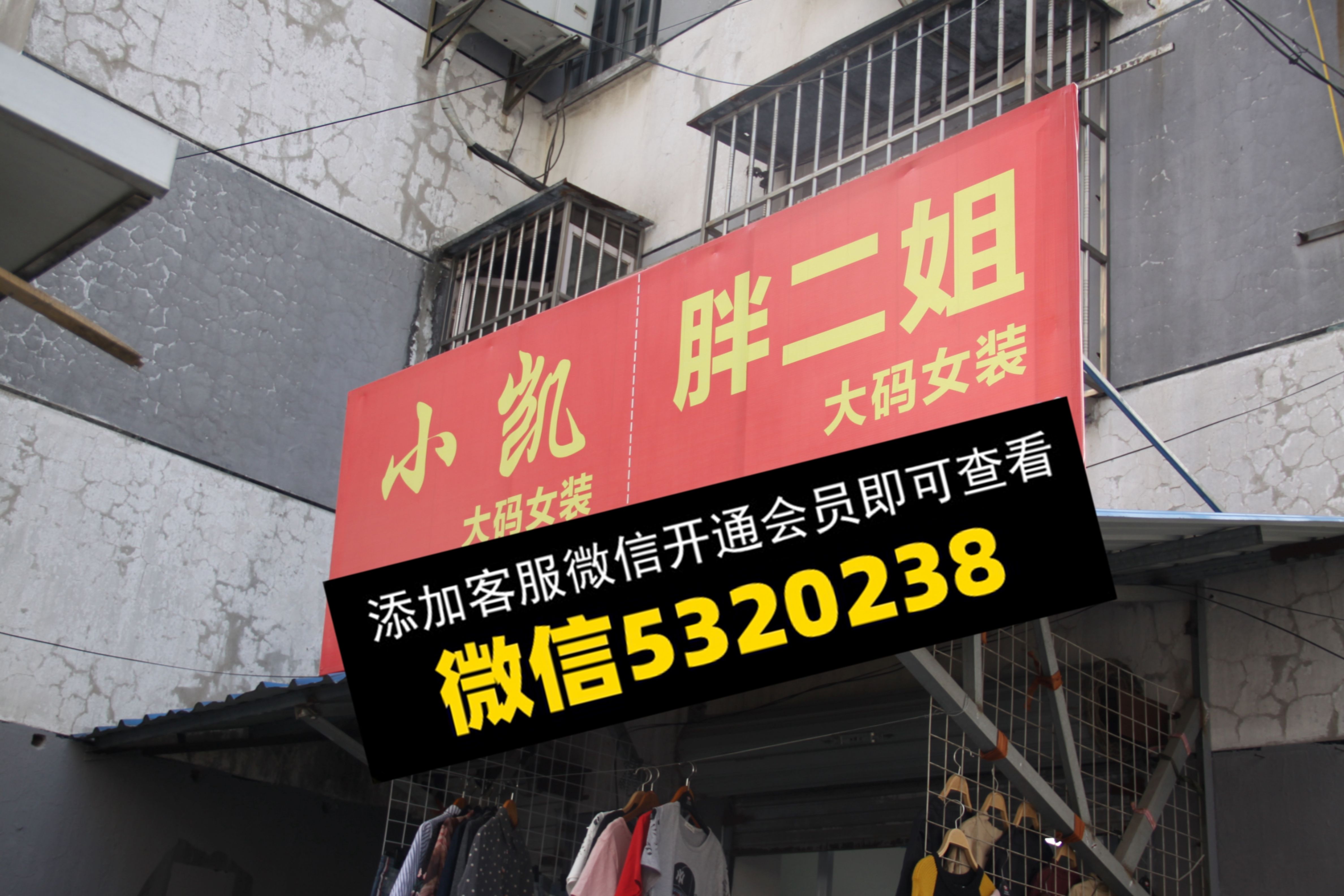 小凯 胖二姐 小凯 胖二姐