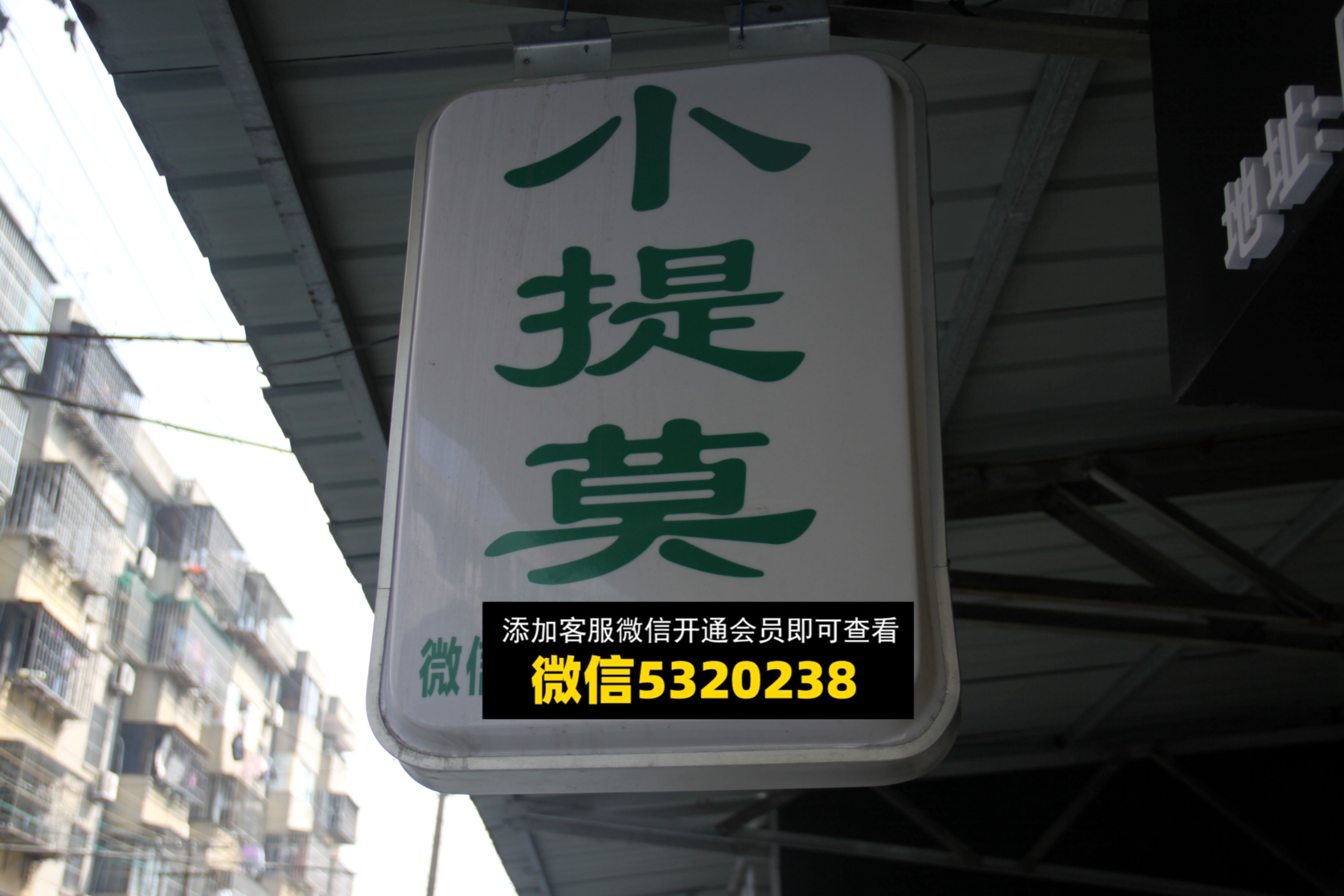 小提莫 小提莫