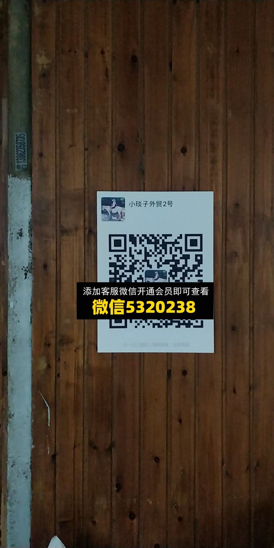小炎子 小炎子