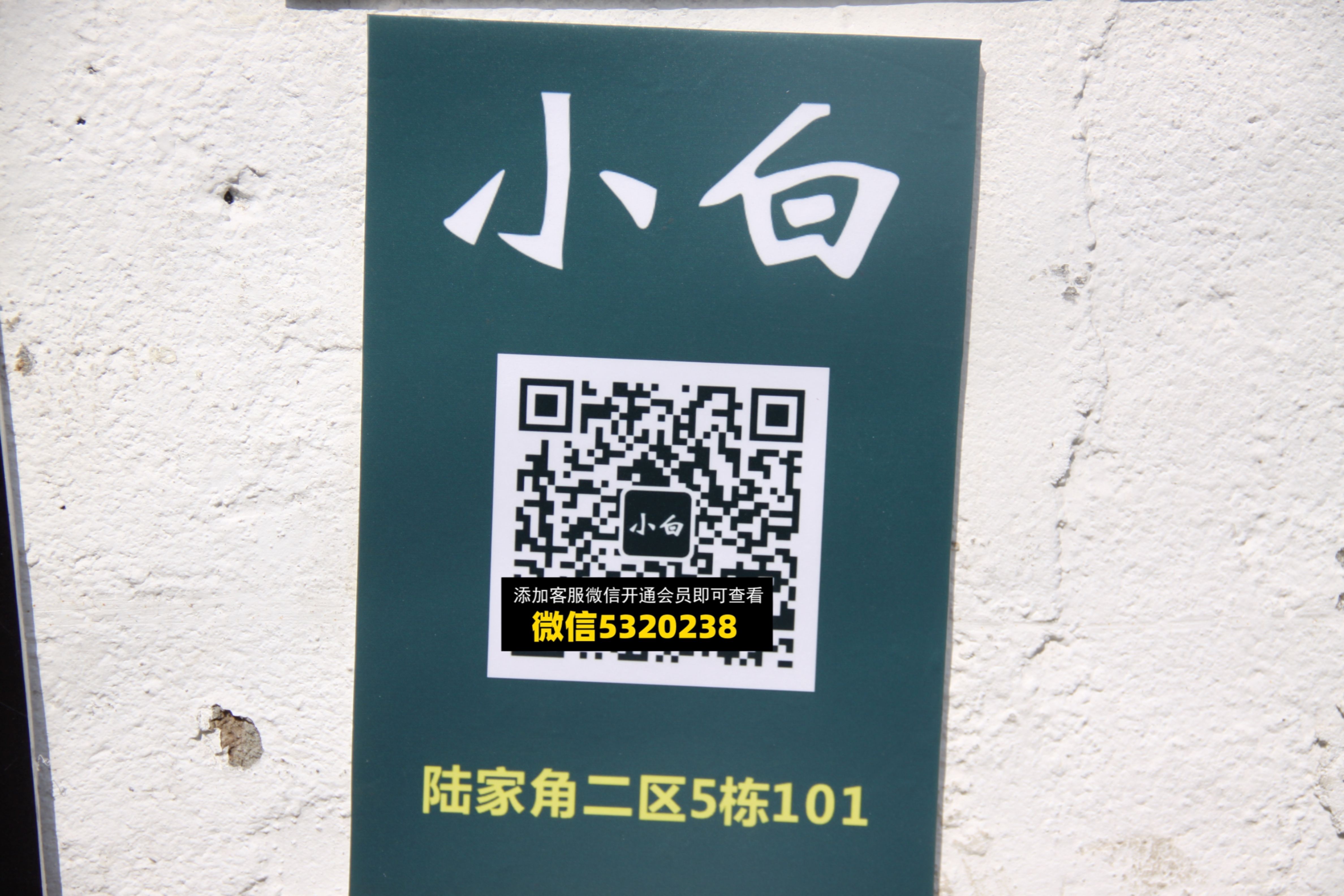 小白 小白