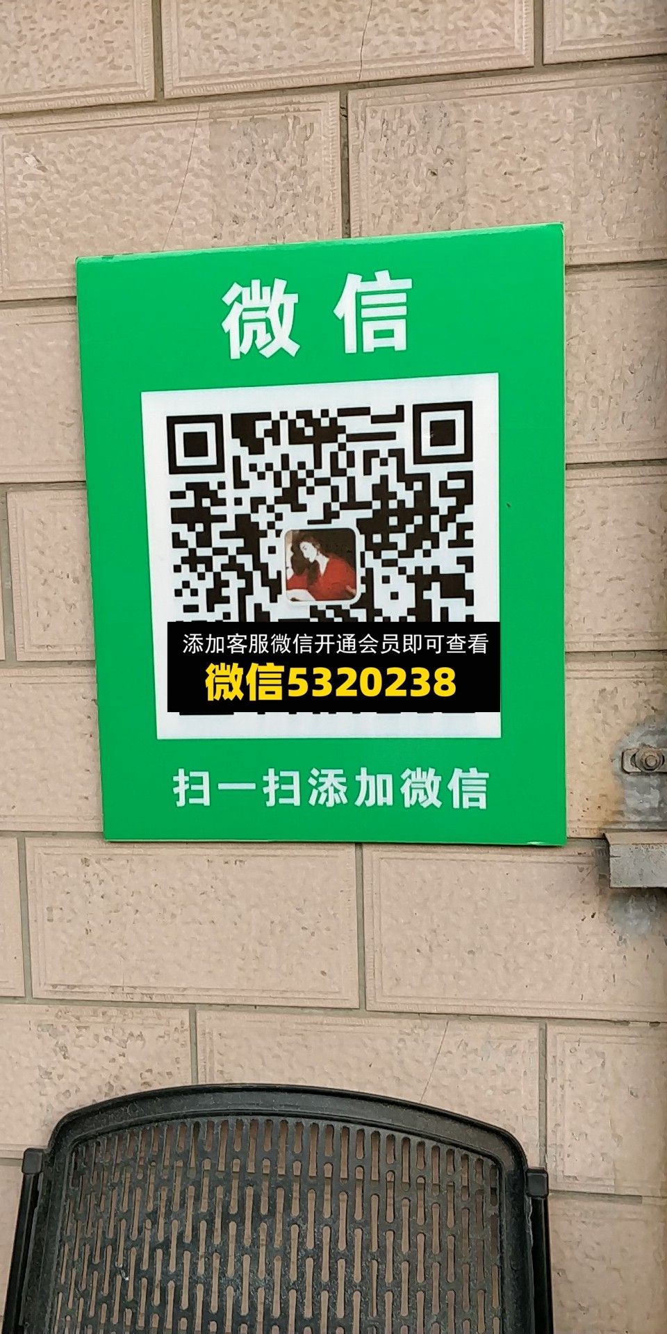 小码头索菲亚的兔子 小码头索菲亚的兔子