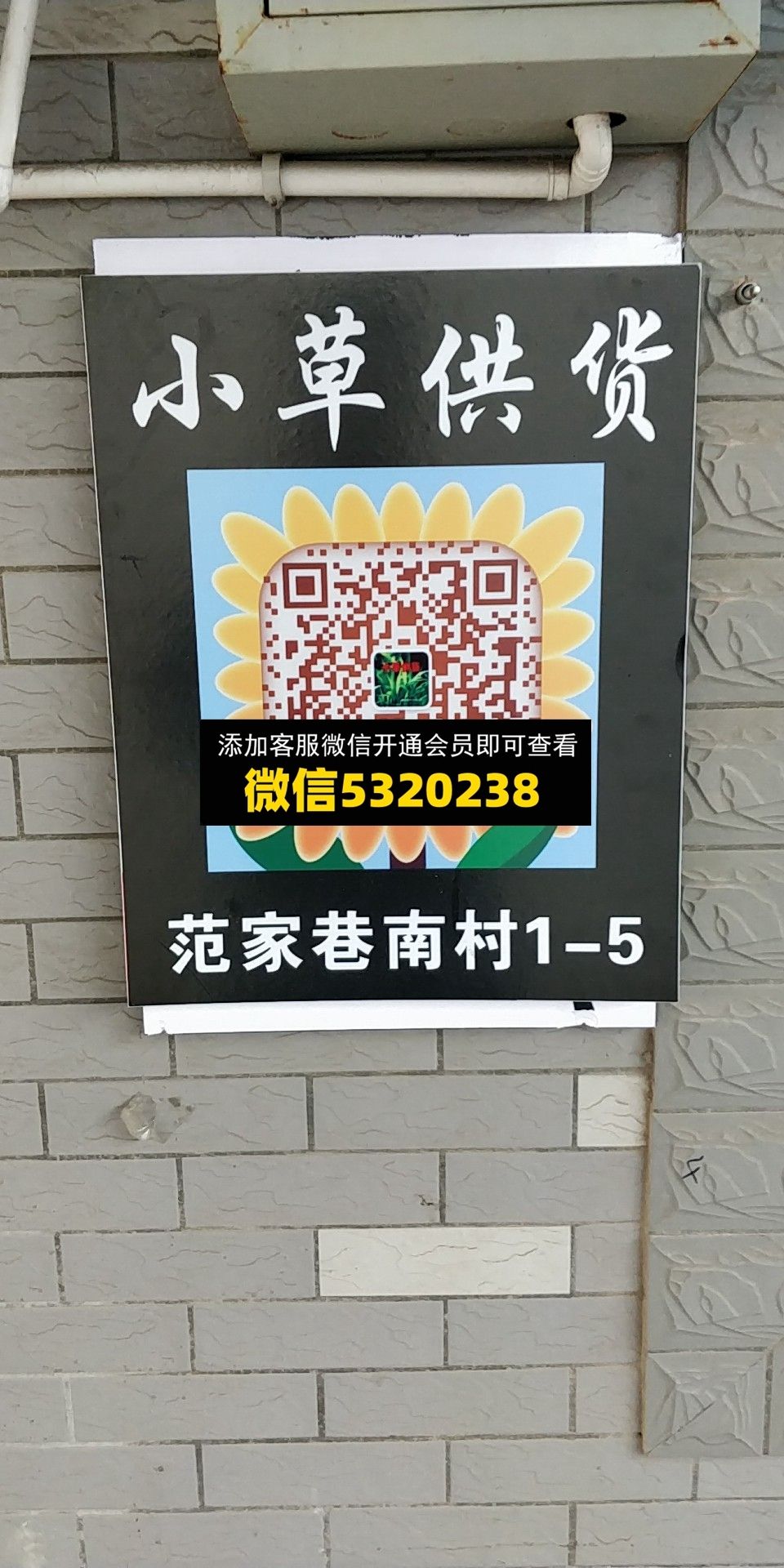 小草供货 小草供货