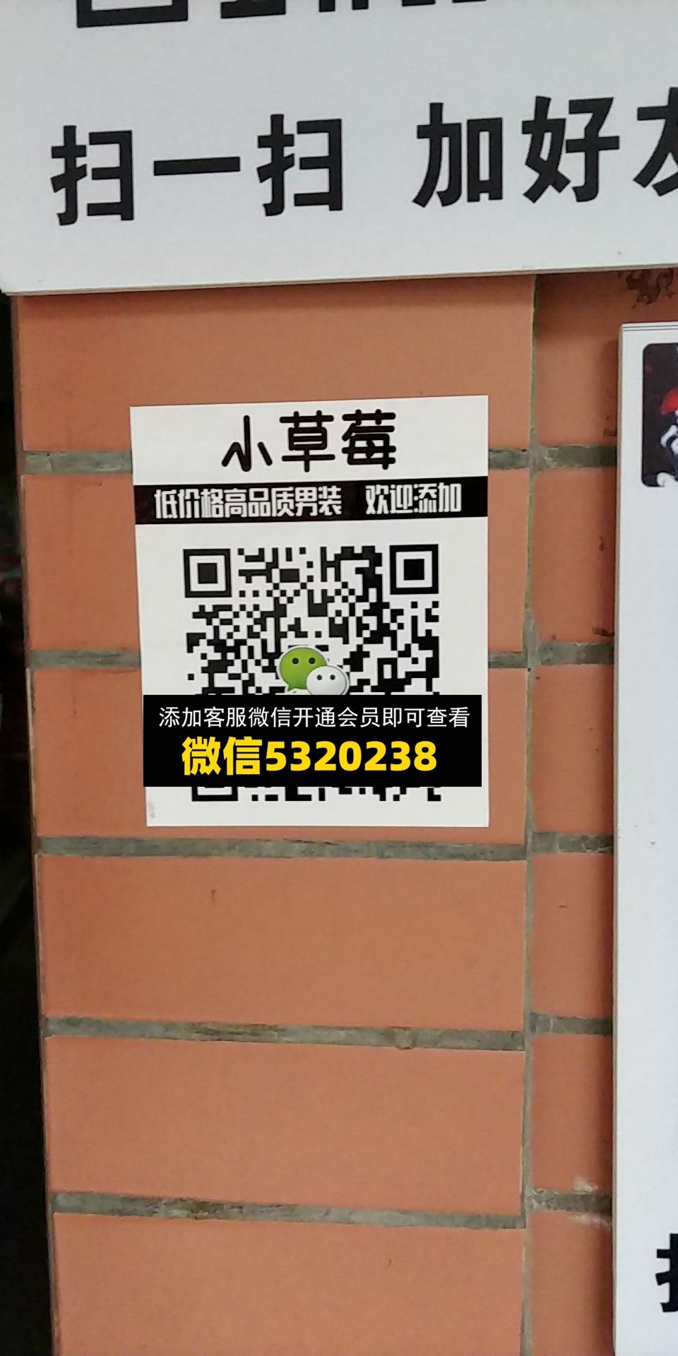 小草莓 小草莓