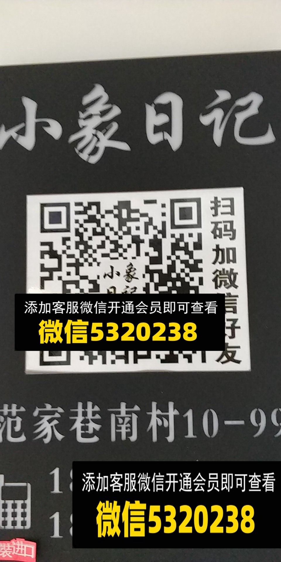 小象日记 小象日记