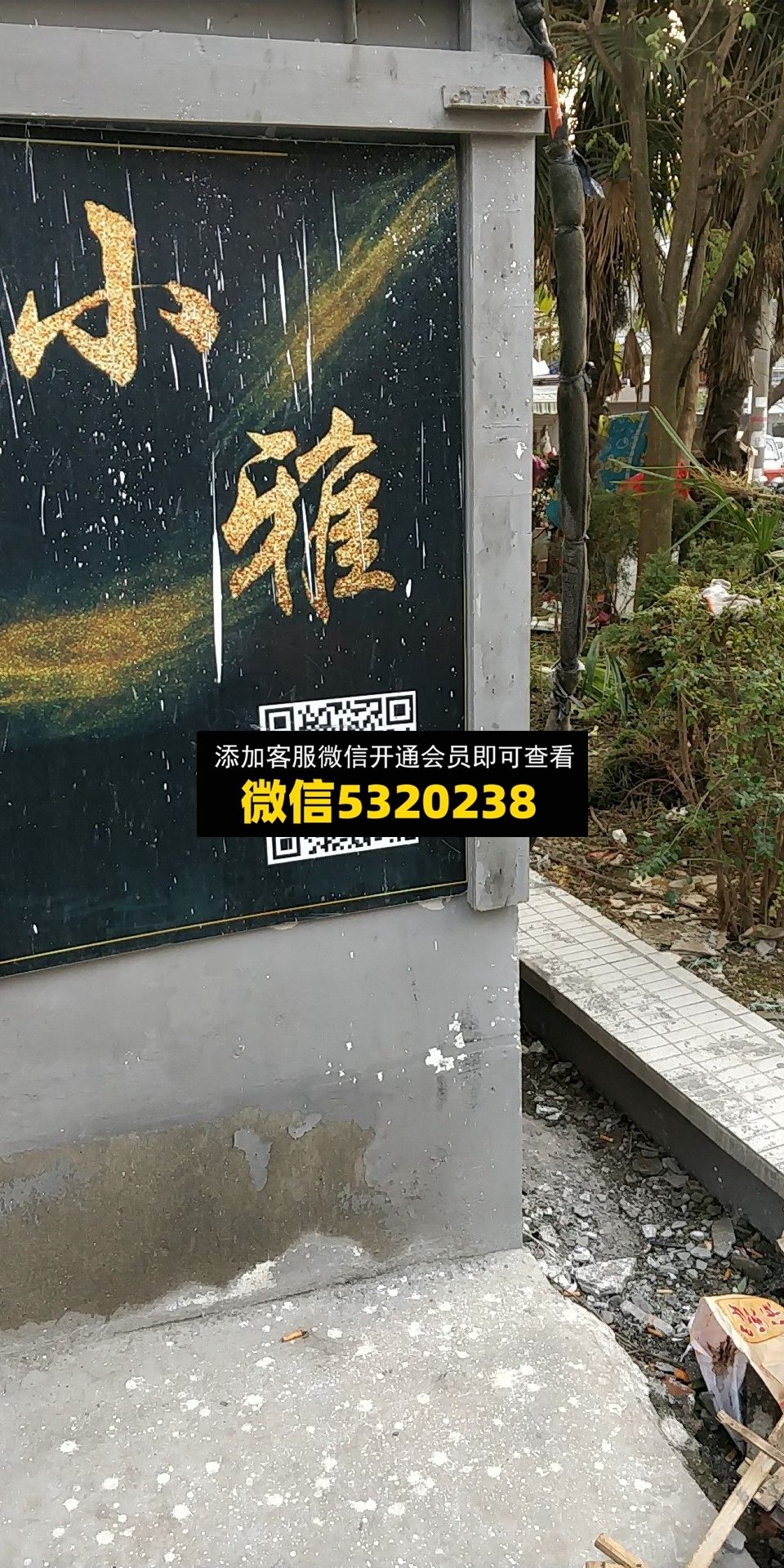 小雅 小雅