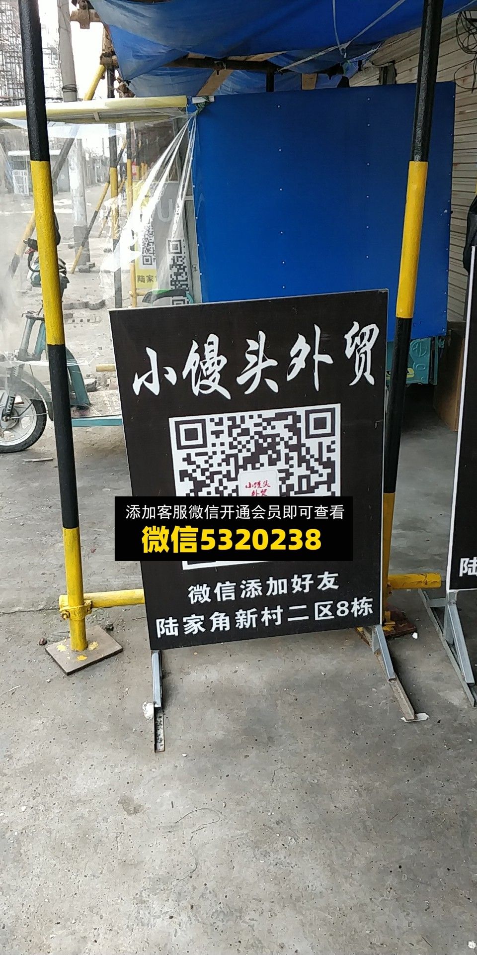 小馒头 小馒头