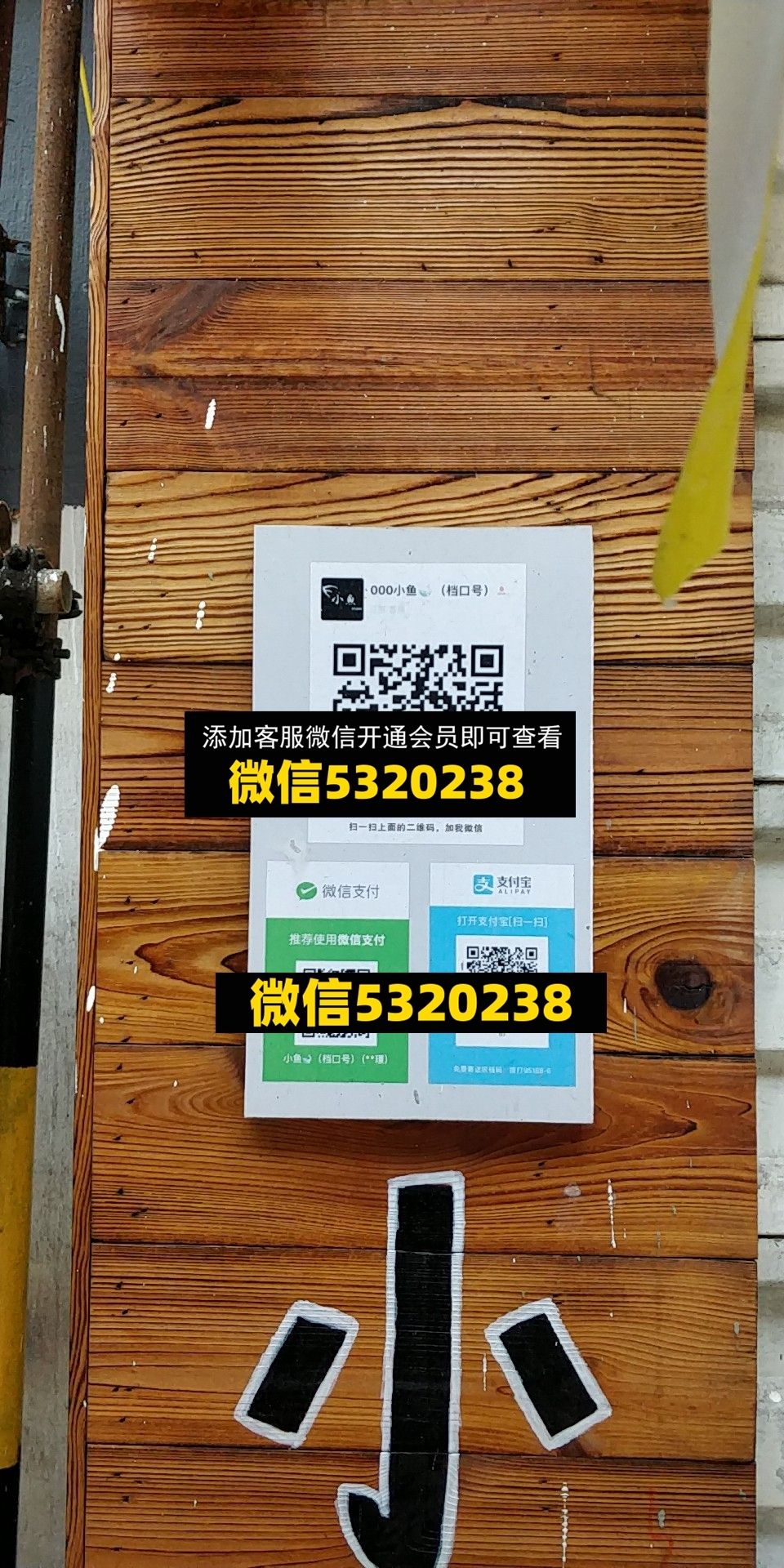 小鱼 小鱼