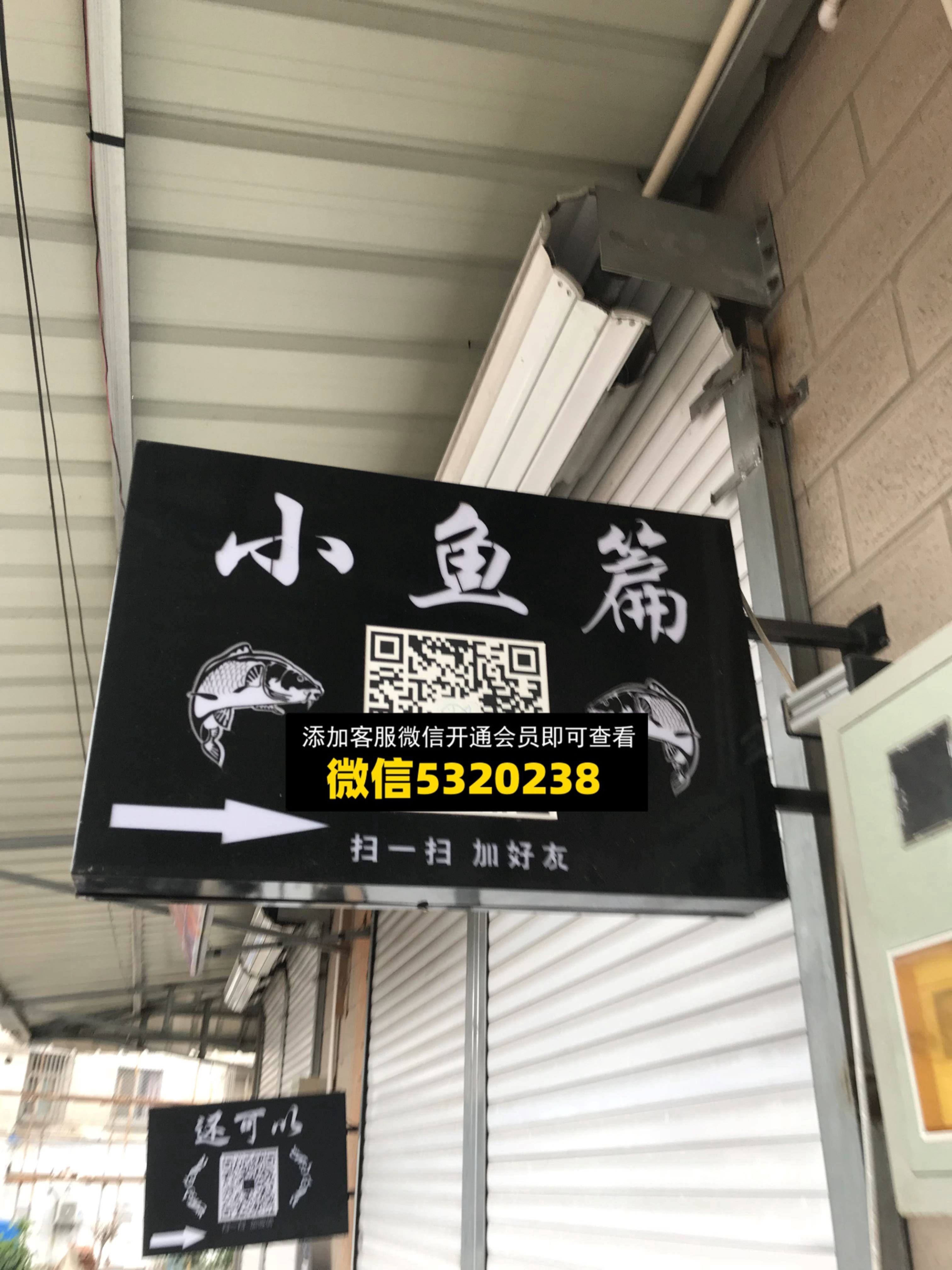 小鱼篇 小鱼篇