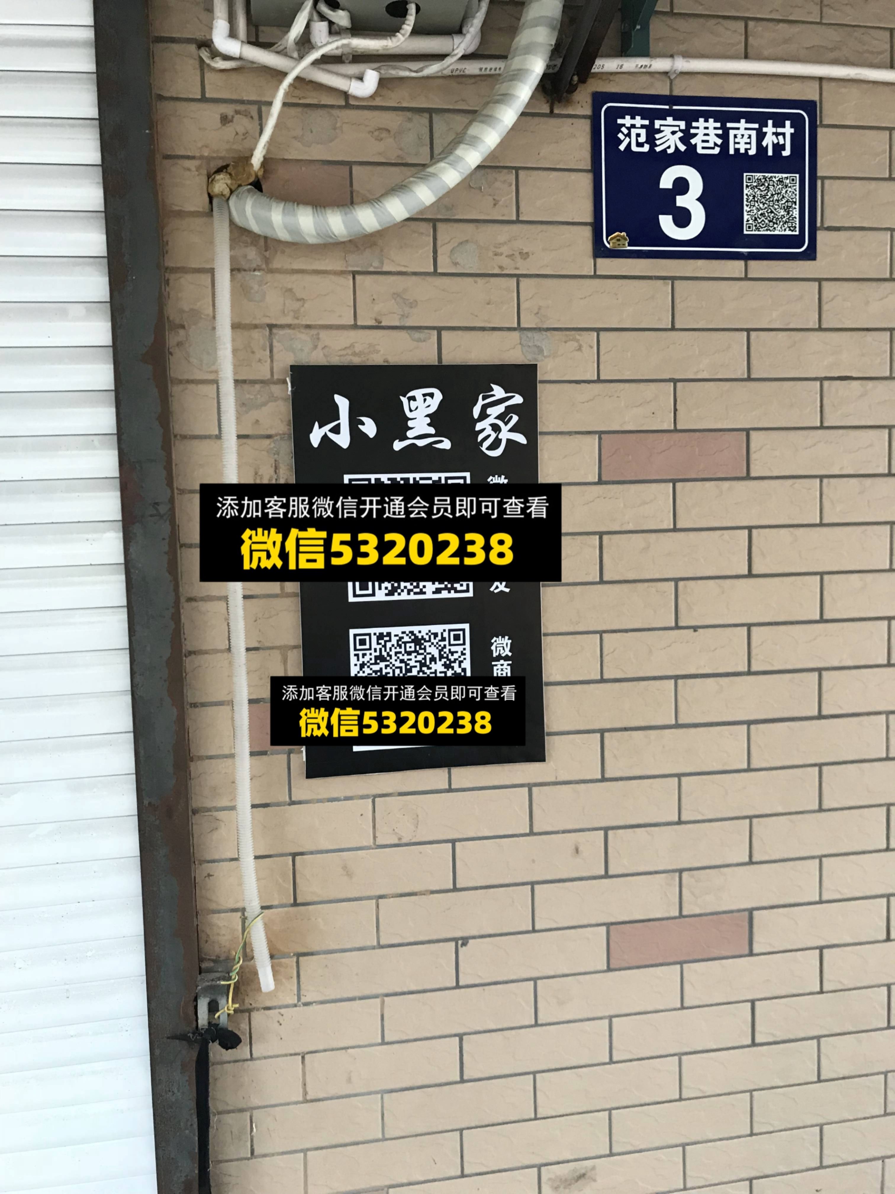 小黑夹 小黑夹