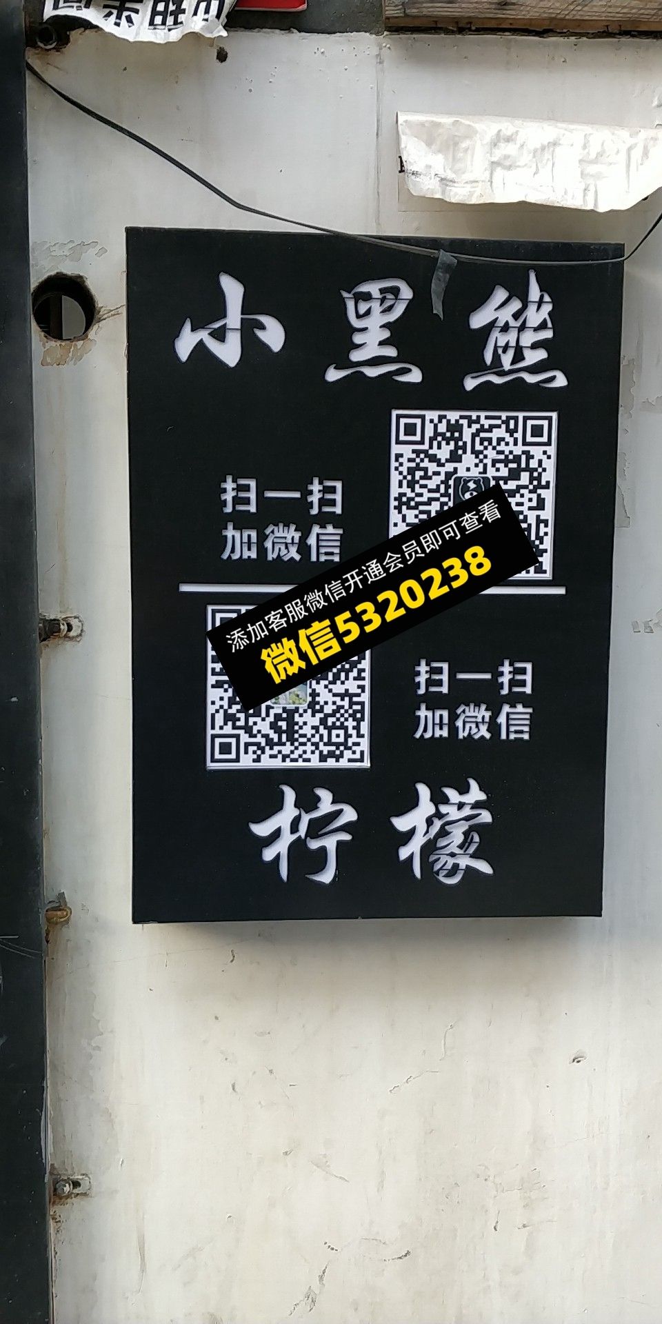 小黑熊 柠檬 小黑熊 柠檬