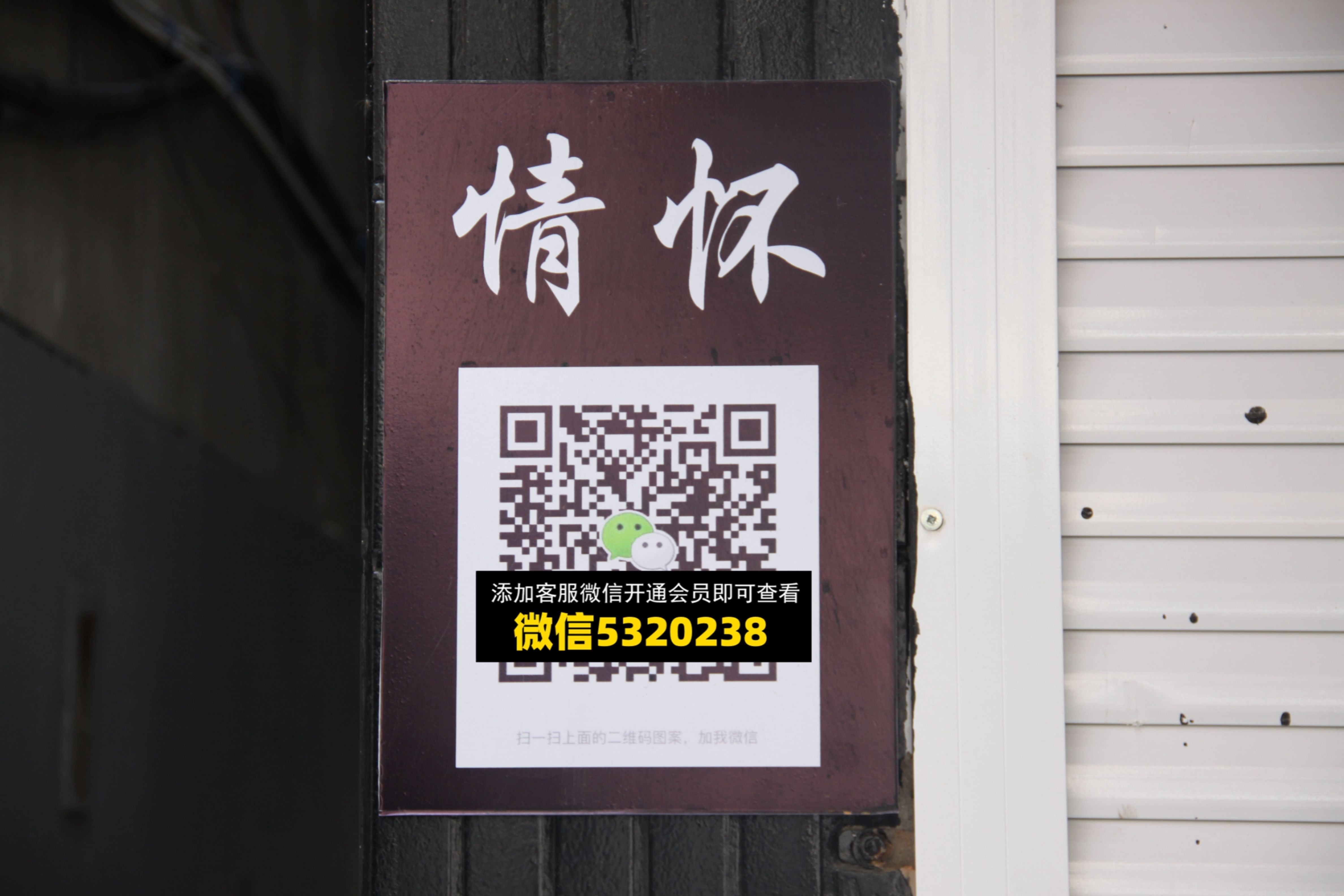 情怀 情怀
