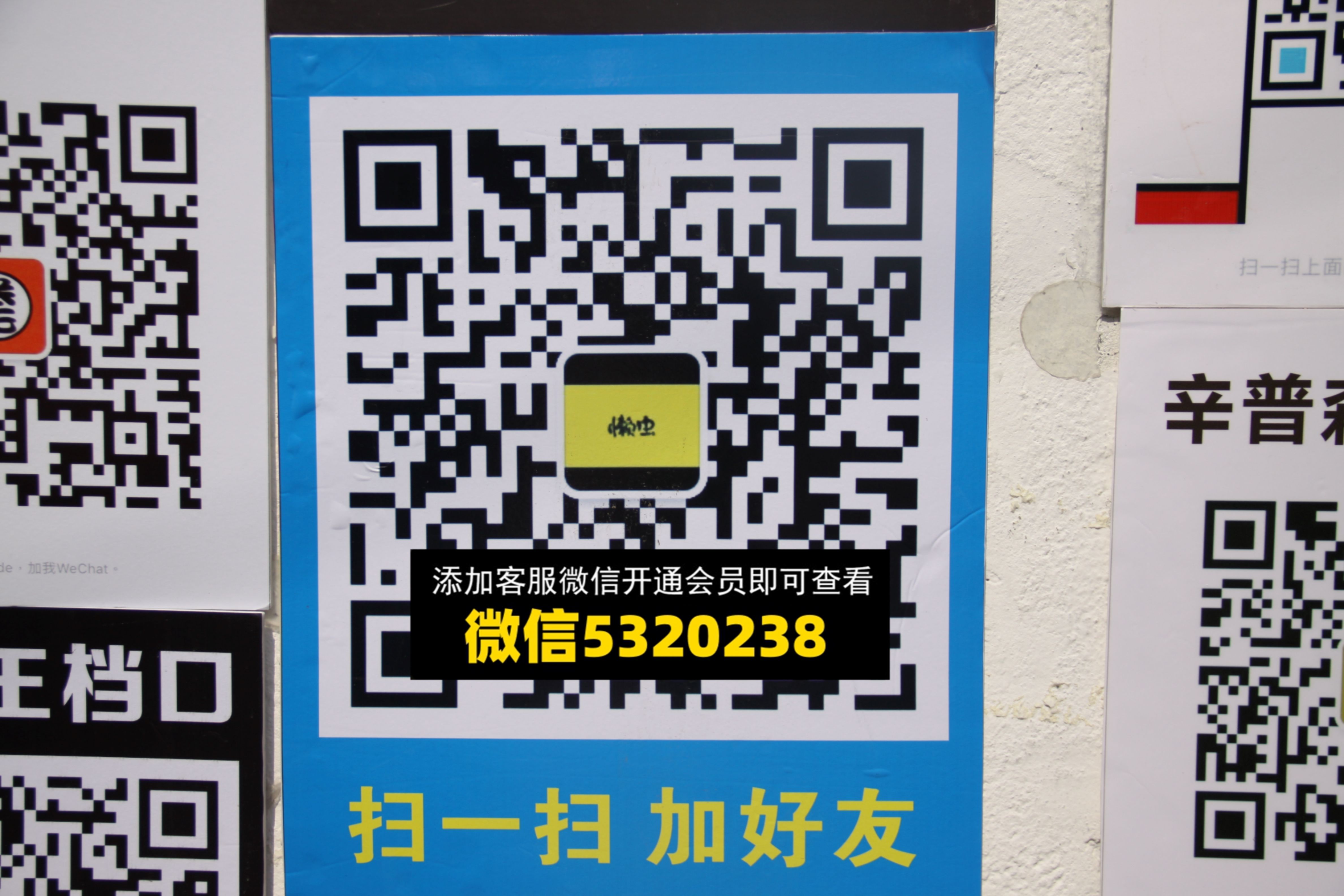 懒虫 懒虫