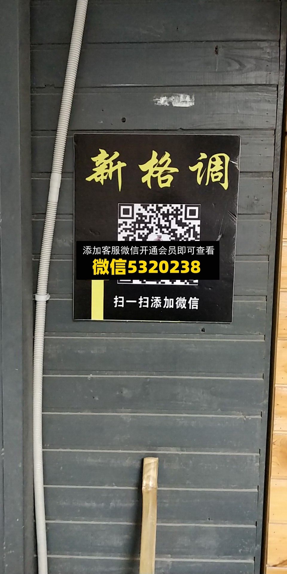 新格调 新格调