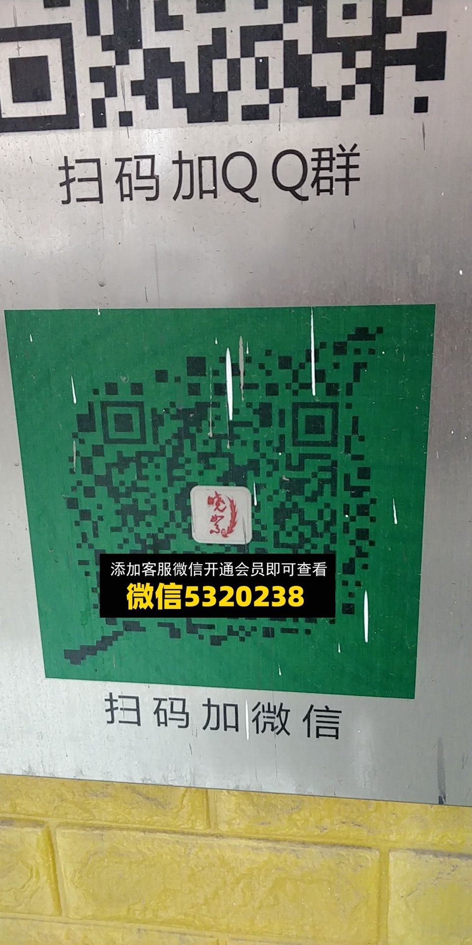 晓旭 晓旭