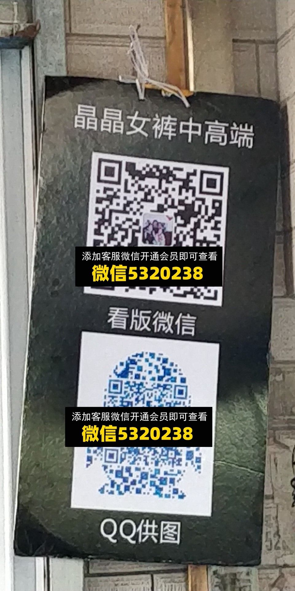 晶晶女裤 晶晶女裤