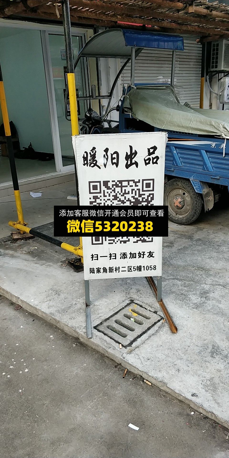 暖阳 暖阳
