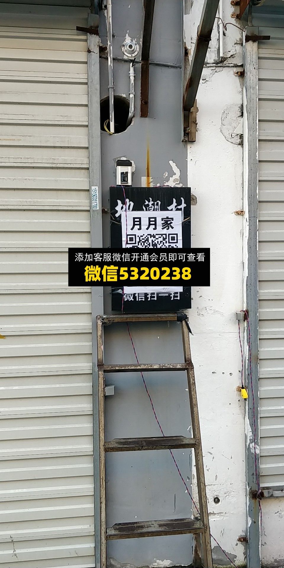 月月家 月月家