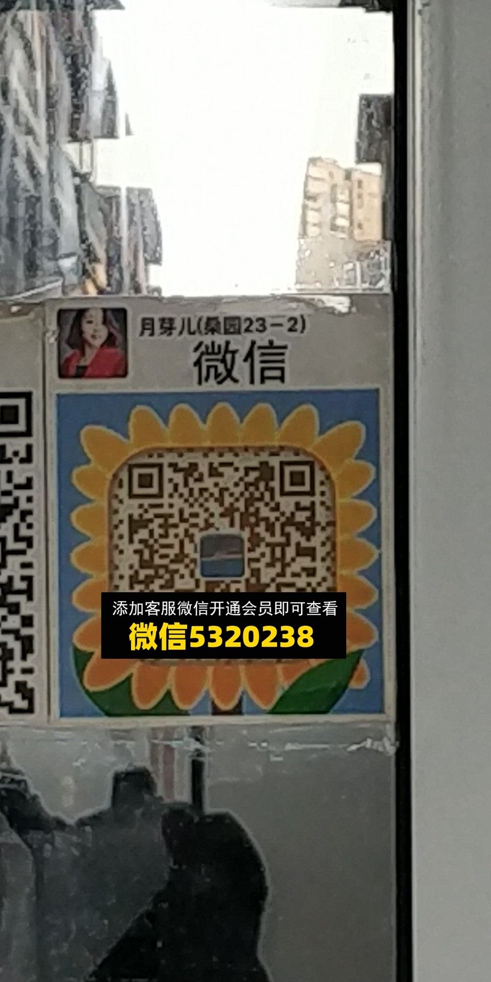 月芽儿 月芽儿