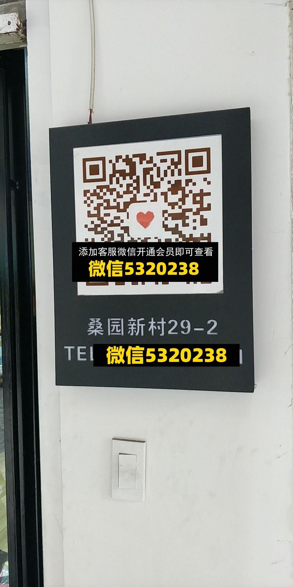 李梦玲 李梦玲