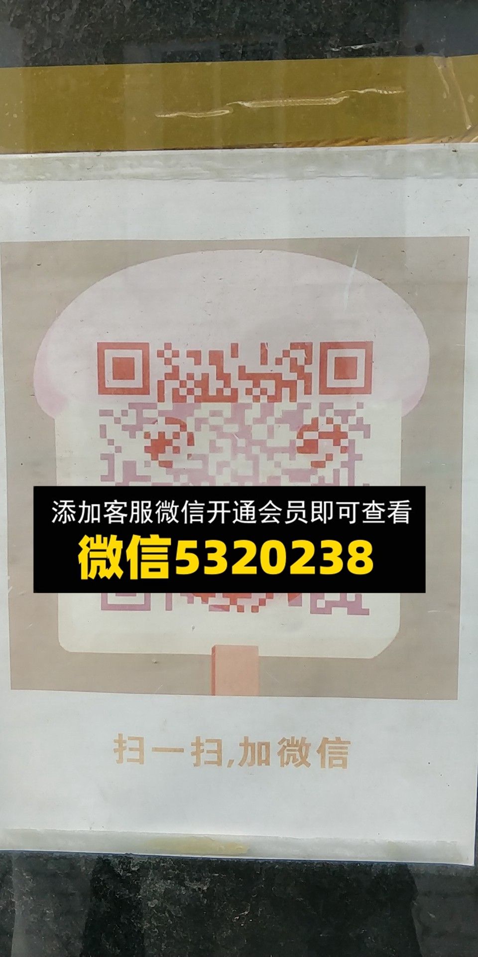 林哥 林哥