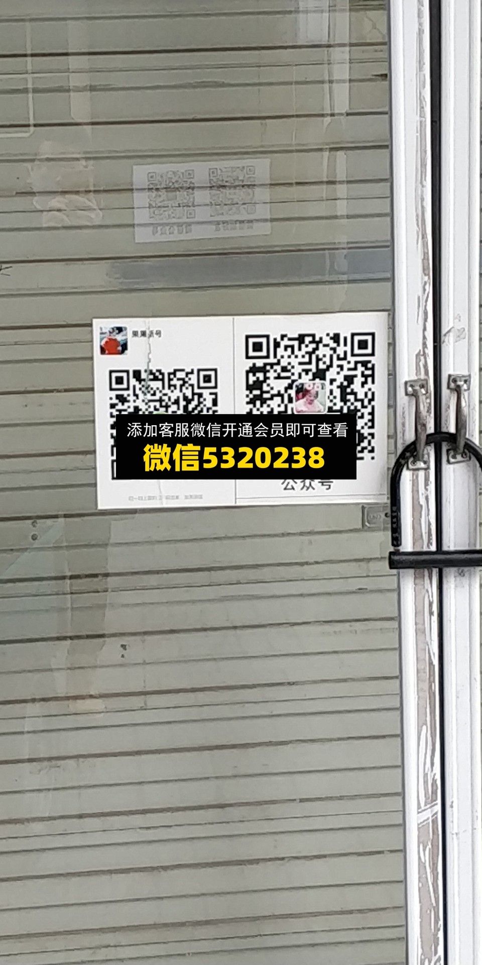 果果 果果