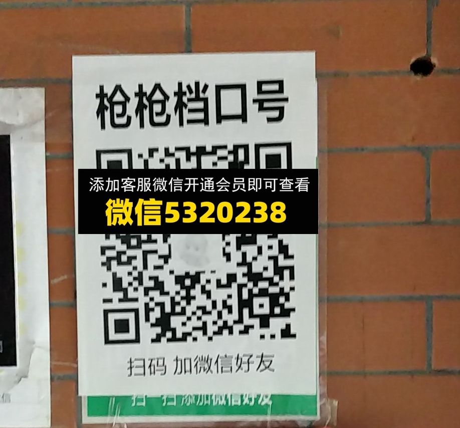 枪枪 枪枪