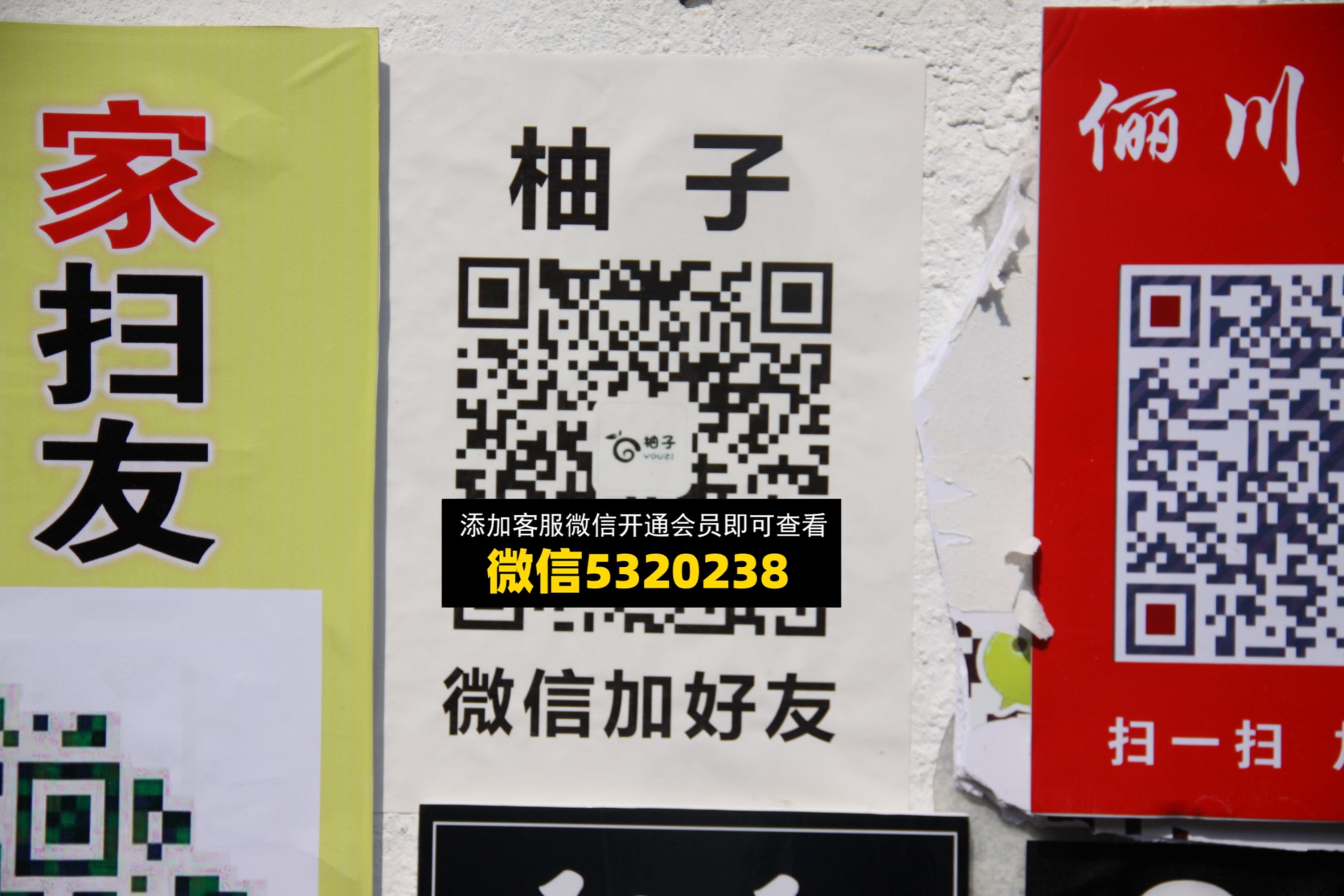 柚子 柚子