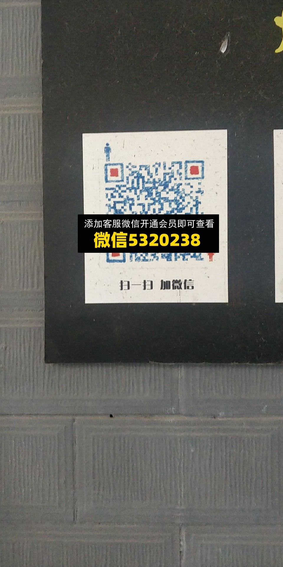 柠檬 柠檬