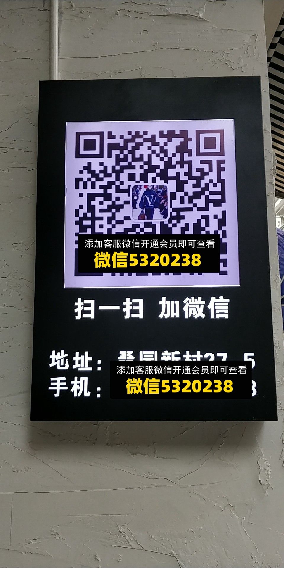 桑园27-5 桑园27-5