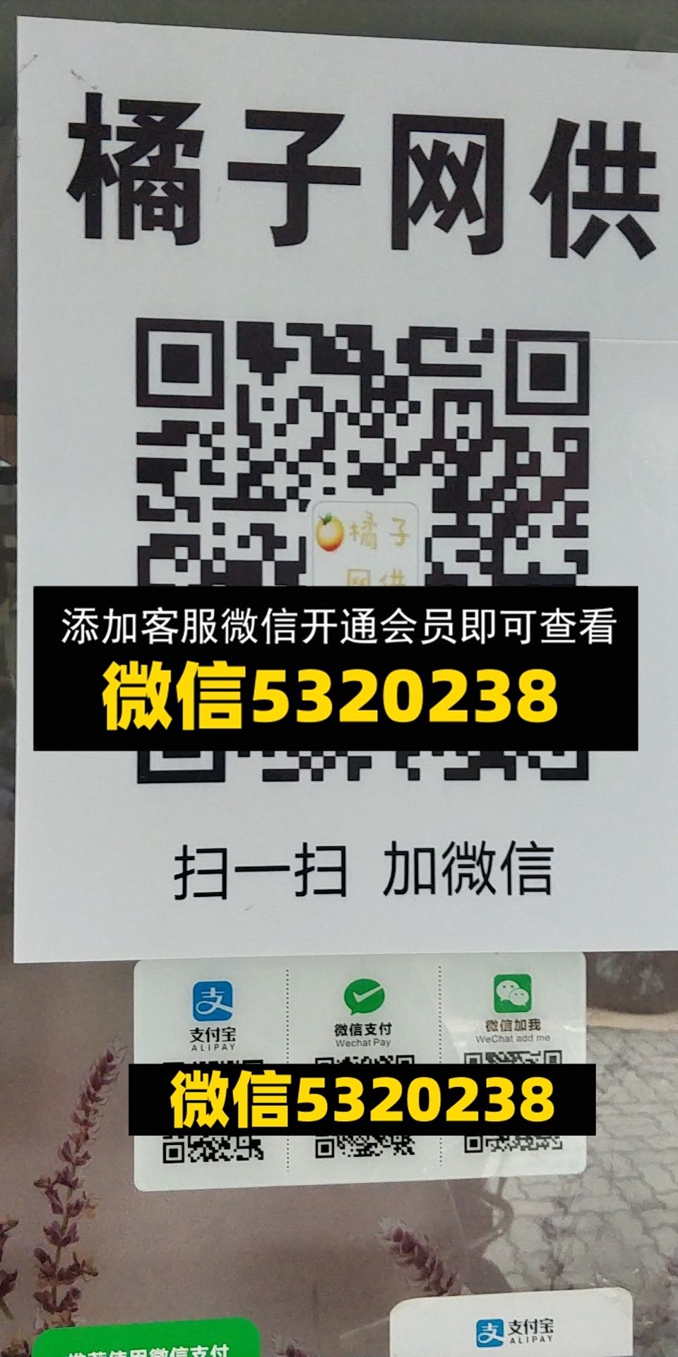 橘子网供 橘子网供