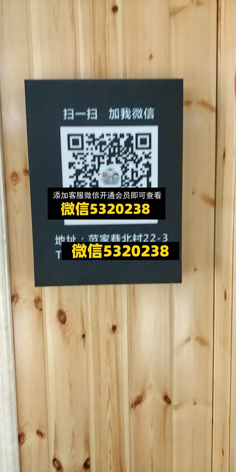 海底小纵队 海底小纵队