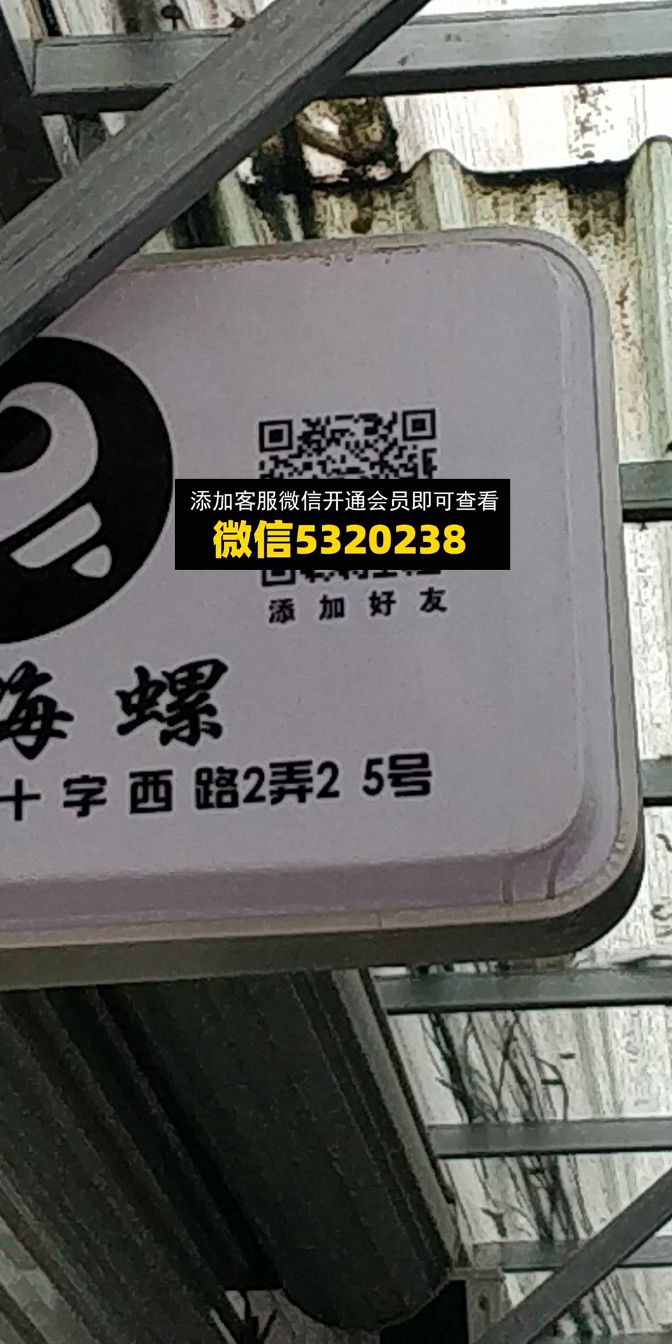 海螺