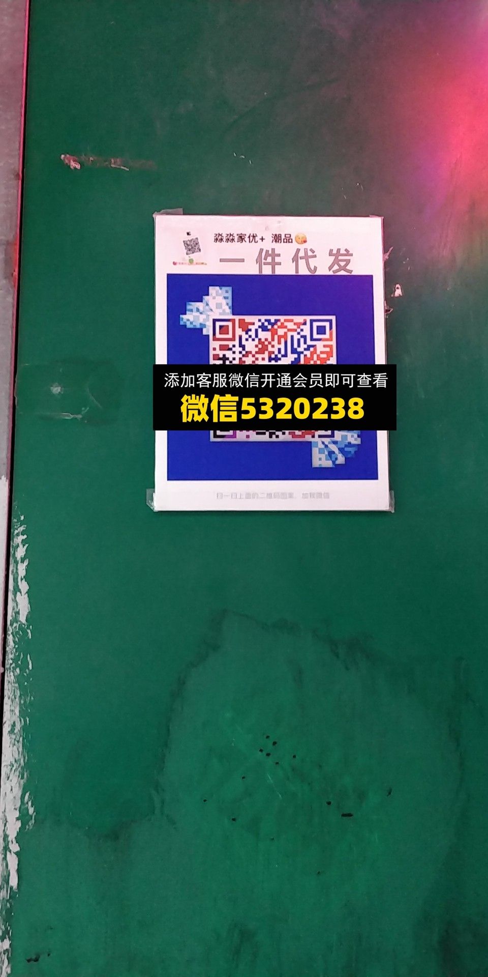淼淼家 淼淼家